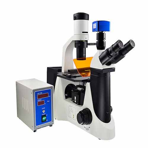 Inverted Fluorescence Microscope in Gwalior